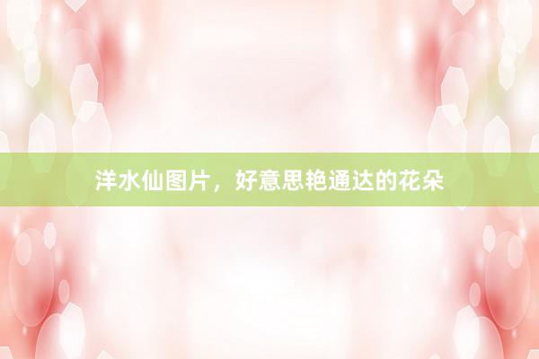 洋水仙图片，好意思艳通达的花朵