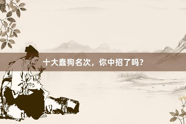 十大蠢狗名次，你中招了吗？